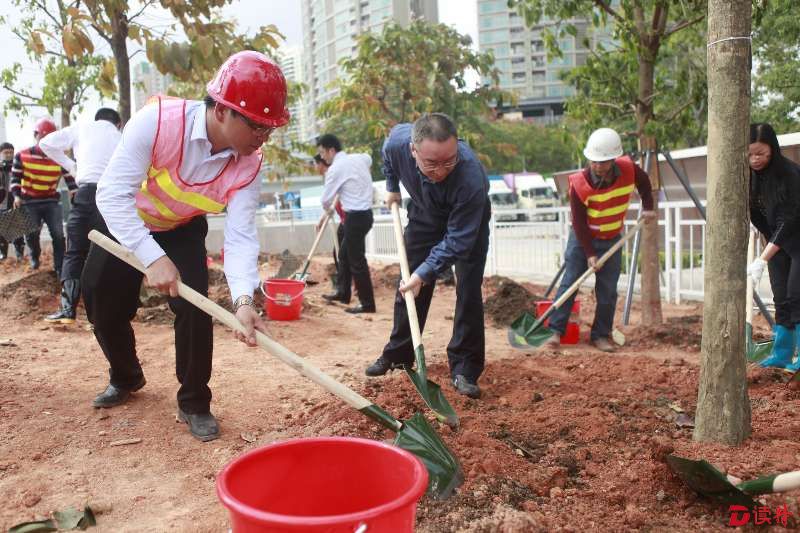 福田区在地铁皇岗口岸站义务植树造林