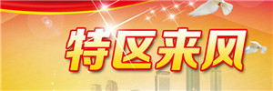 许勤：推动全面从严治党向基层延伸