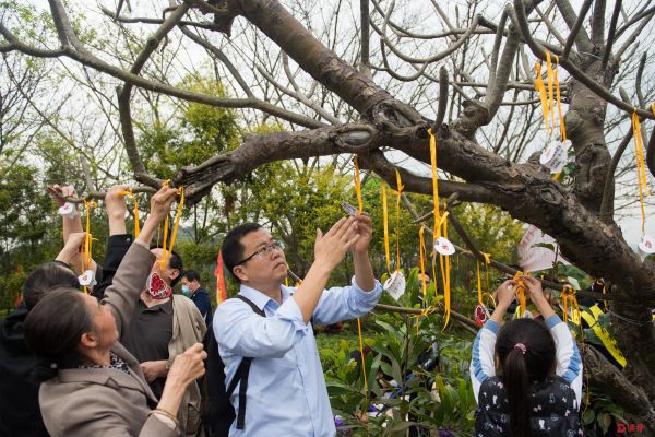 深圳海葬平台首次帮内地人实现海葬愿望