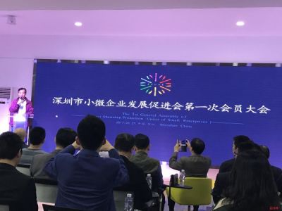小微抱团实现大梦想，深圳市小微企业发展促进会成立