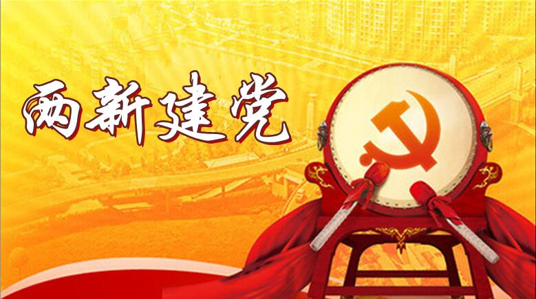 两新党建
