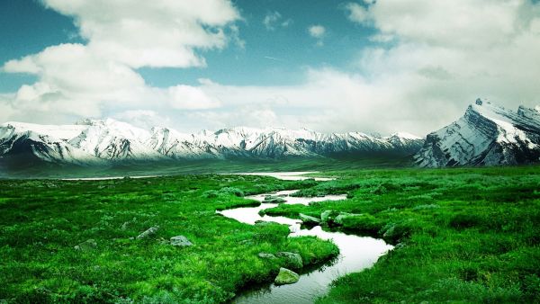 深圳地铁集团:不排除在未来继续增持万科股份