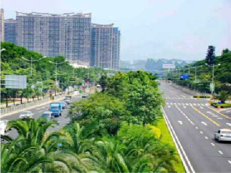 龙城街道：将文明融入城市细节