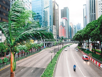 香港爱树成为社会共识 植树也要持证上岗