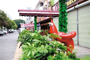 创建全国文明城市的西乡故事