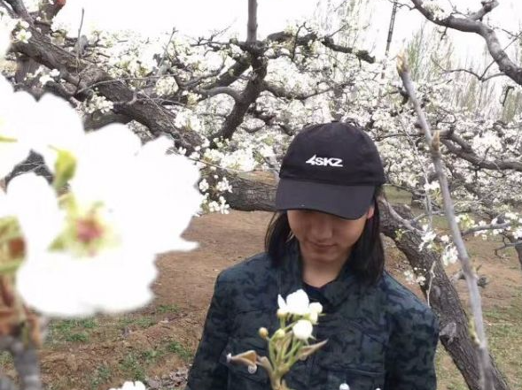 折支梨花寄相思