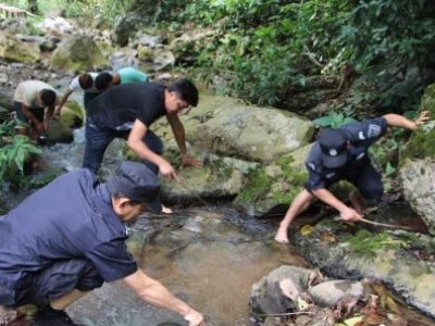 游客在西双版纳放生“生态杀手”鳄龟 涉嫌违法将被罚