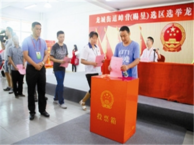 三分之一是硕士以上！深圳新一届区级人大代表学历高
