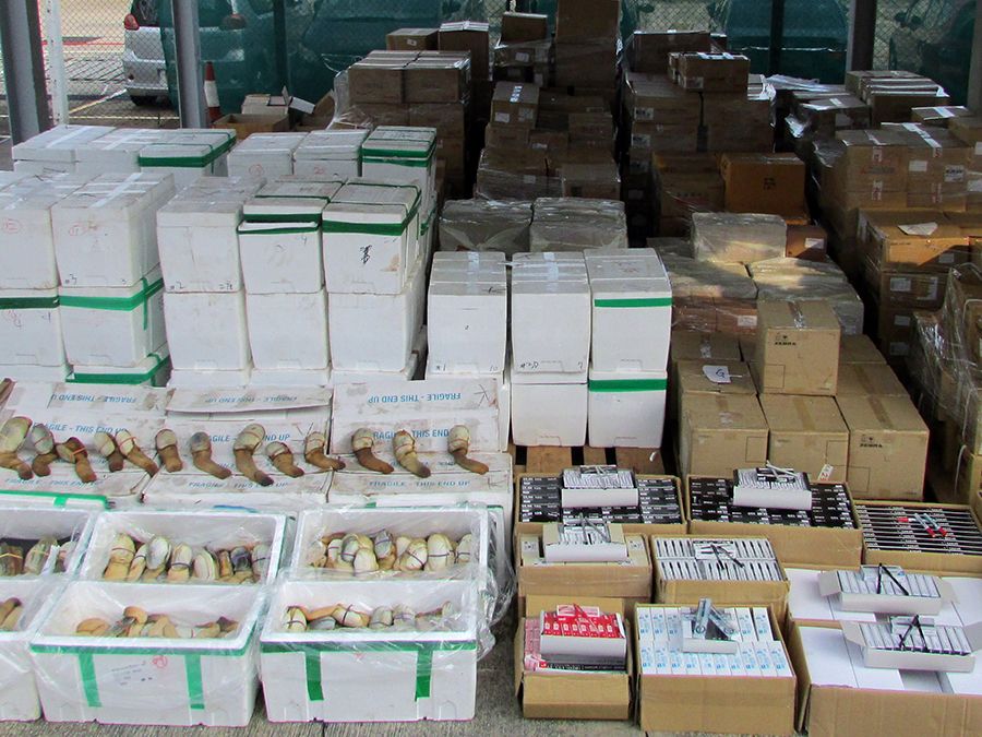 香港海关海上检获300万走私海货