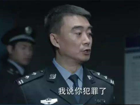 《人民的名义》没一个正面警察形象？导演:耐心看完