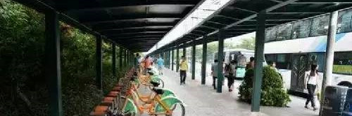 深圳最长公交站, 一眼望不到底