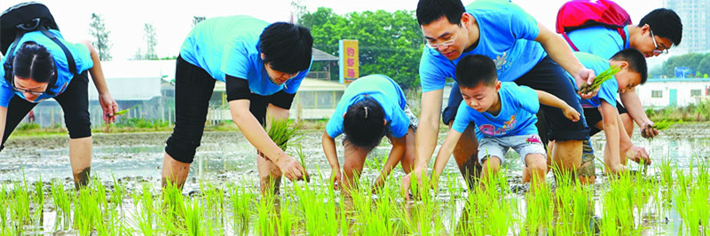 父母萌娃齐上阵 观光园里春耕忙