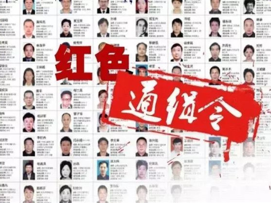 “百名红通人员”全球追捕满两年 归案40人多被劝返