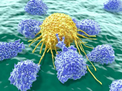香港中大找到恢复抗癌免疫系统新方法