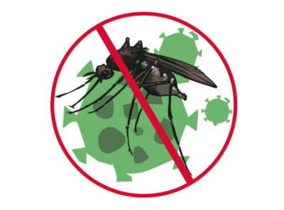 8年“死磕”新型蚊子“病毒”  龙岗疾控研究成果登上国际权威期刊