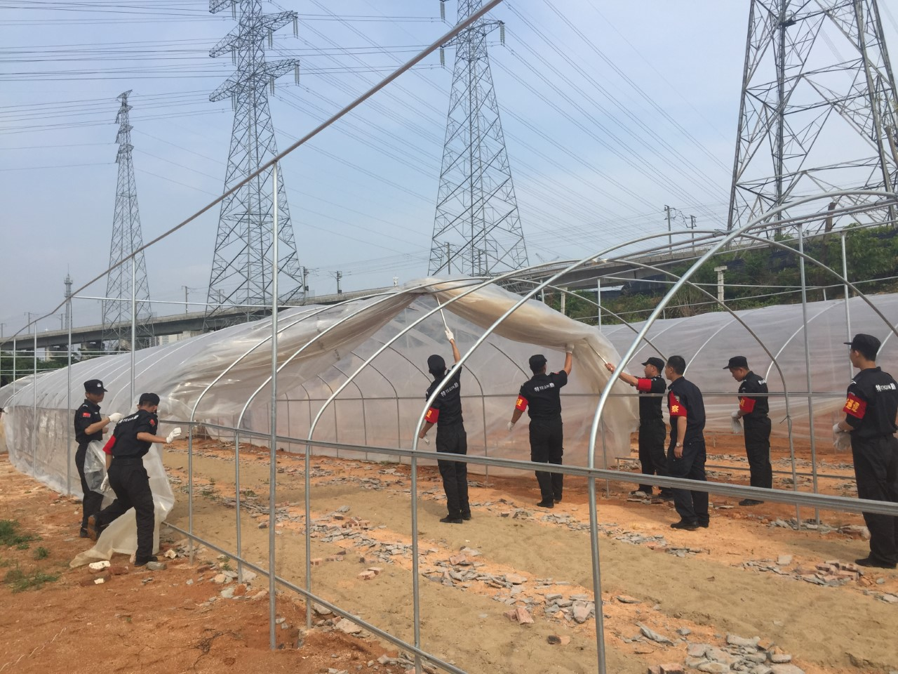政企联动保电网安全 用电高峰前“拆弹”