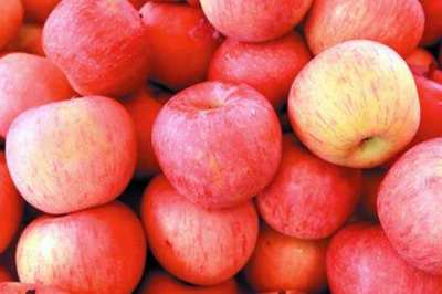 想知道一斤苹果从产到销需要多少成本费用吗？