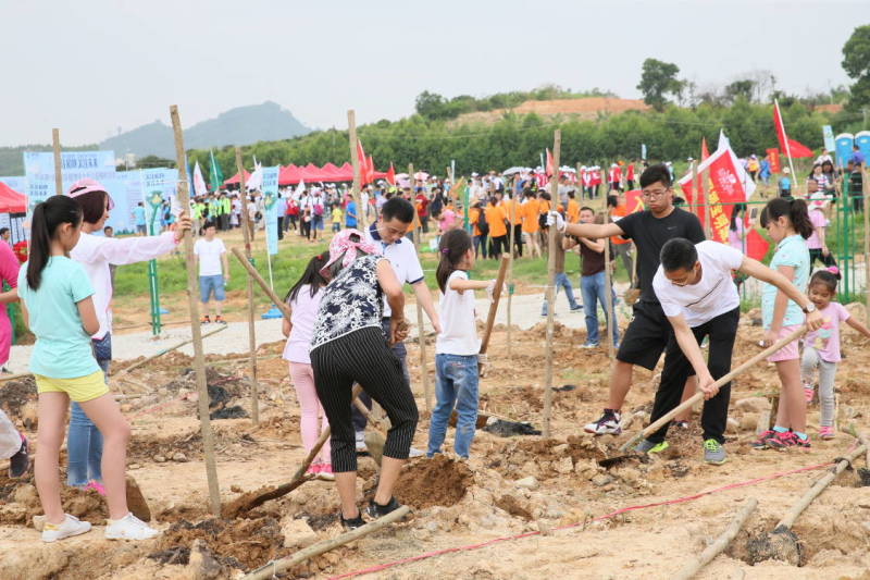 万人同植树 共建美丽深圳！第19届国际植物学大会快步走来