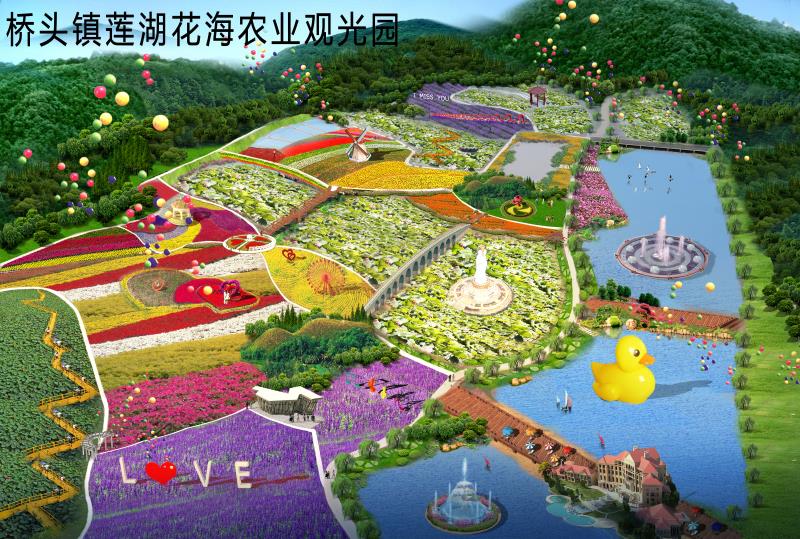 8月，到东莞桥头看色彩斑斓的花海美景