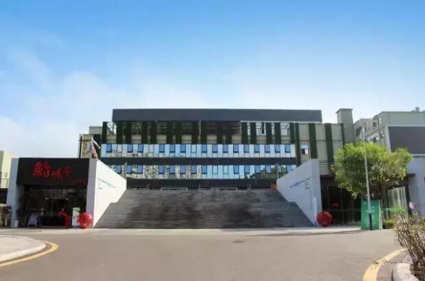 第一波文博“大餐”已上桌！龙岗分会场就该这么玩！