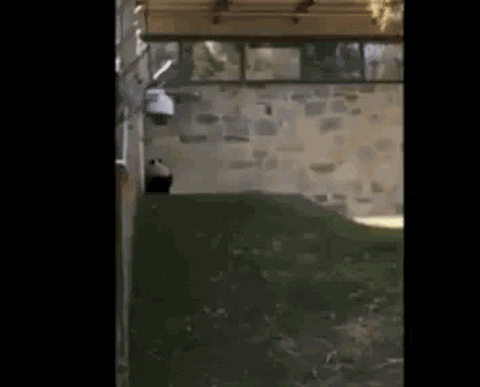 112.gif
