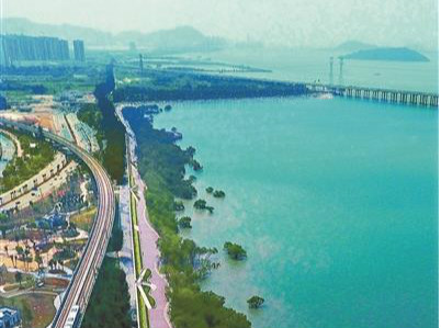 宝安倾力打造粤港澳“湾区花园”