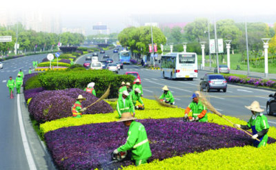 深圳清除卫生死角，要做“最干净的城市”！