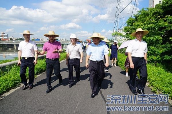 宝安将加快茅洲河两岸景观绿化环境提升工作