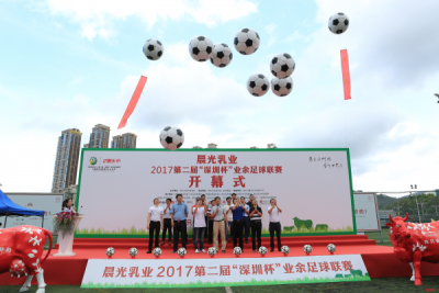 十区联动 放飞梦想！第二届深圳杯足球赛揭幕