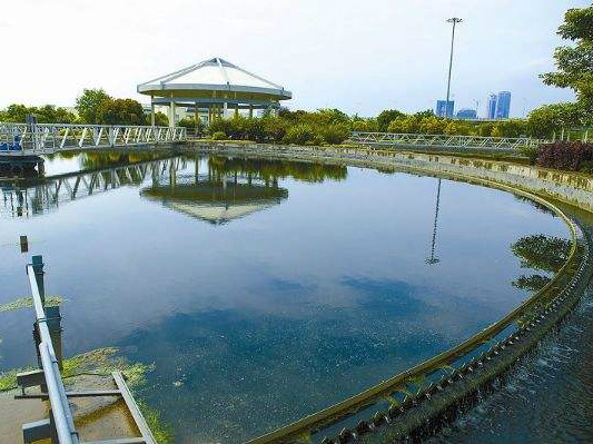 深圳河湾告别最后一个排污口