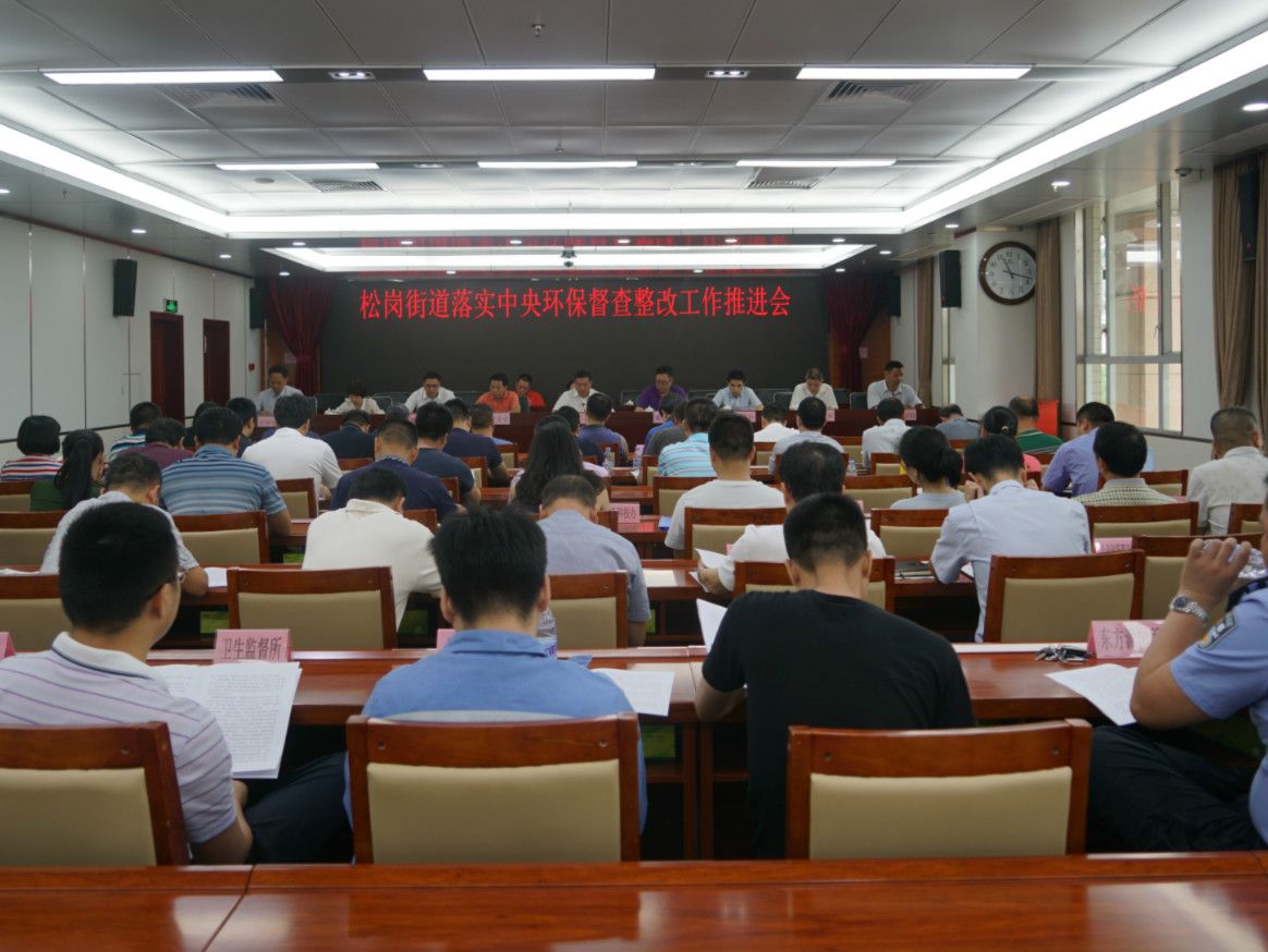 松岗启动“六个一”工程 打响治水攻坚战