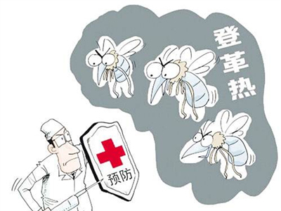 广东开发登革热预警系统　可预警全省未来一两个月风险