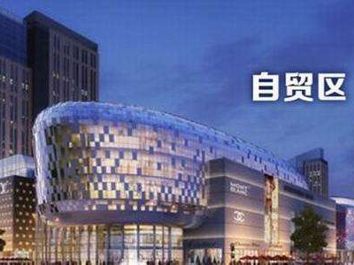 11个自贸区将启用新版负面清单  内容缩减至百项以内