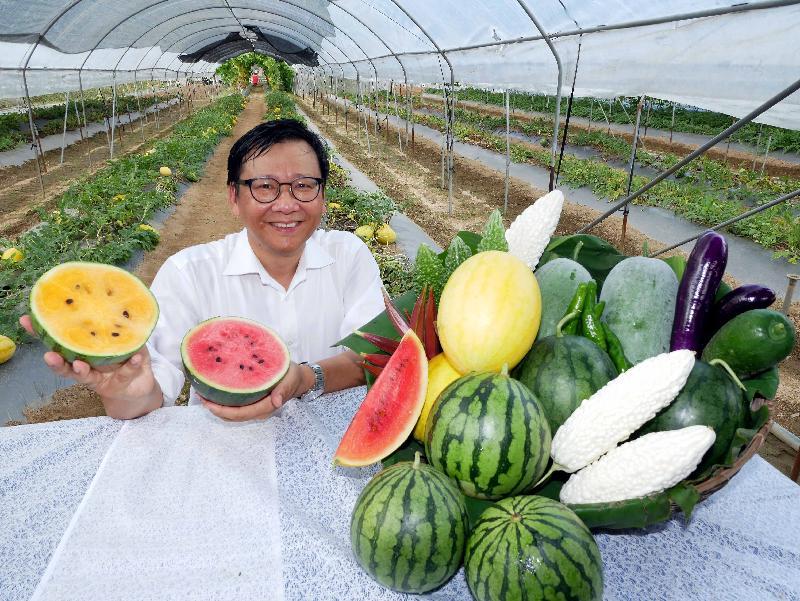 香港西瓜节快来了，想知道有什么特色品种？