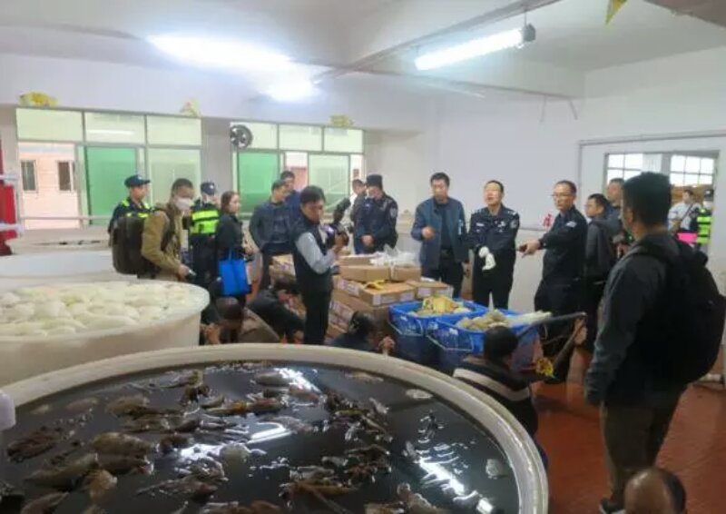 超大制售有害牛百叶链条被彻底铲除