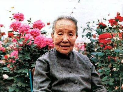 时隔95年，冰心《春水》手稿在日本九州大学被发现