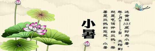今日小暑 | 温风至，盛夏始