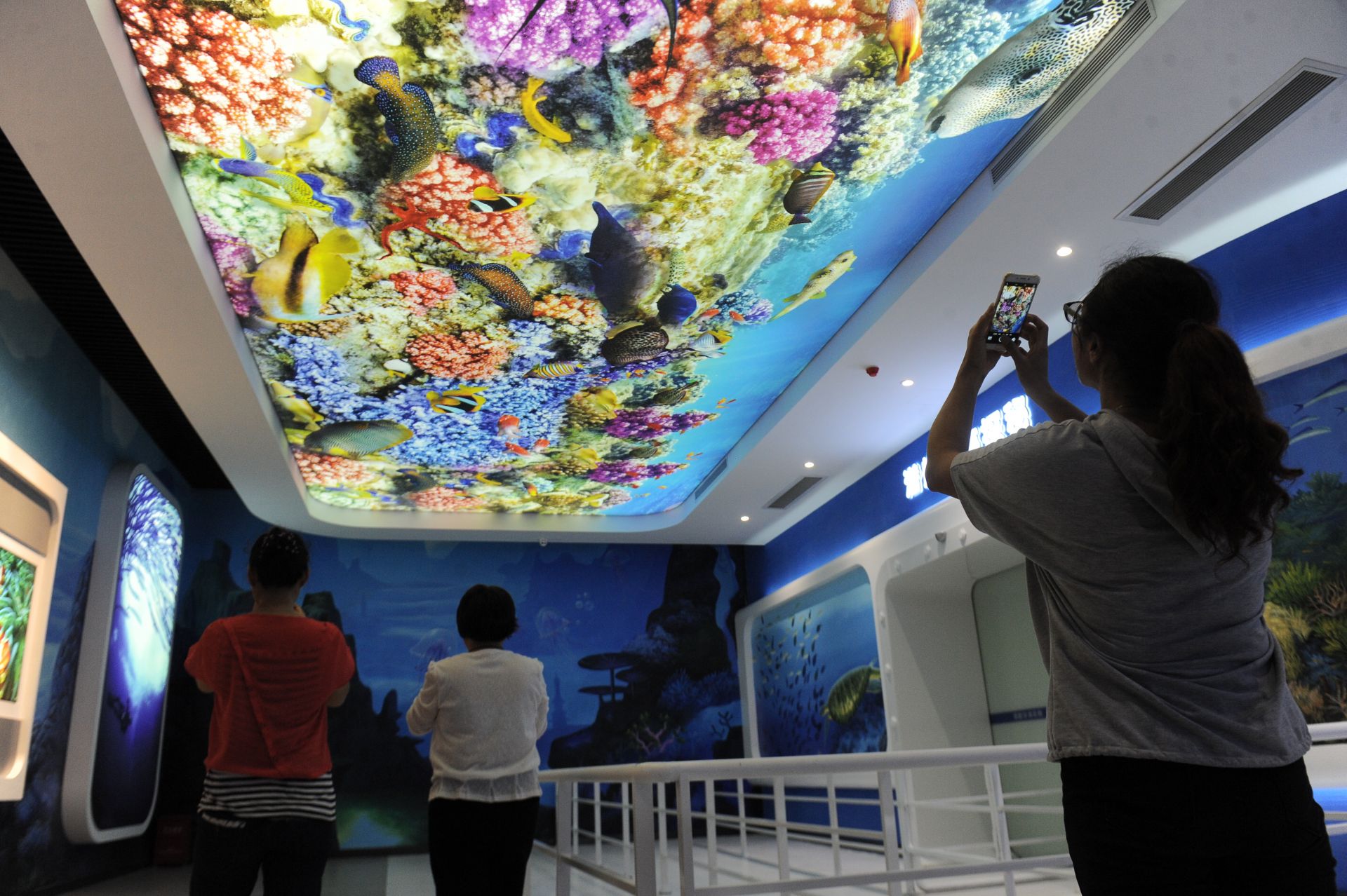 VR体验海洋印象 宝博会西湾红树林分会场有料