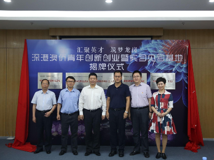 龙岗区大学生就业创业能力提升行动启动