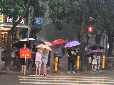 暴雨中，深圳街头竟出现这样的“红绿灯”！感动哭了……