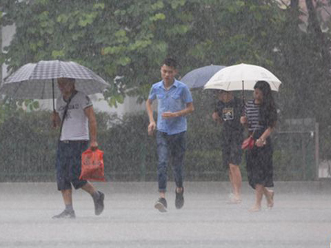 广东省防总启动防汛Ⅳ级应急响应