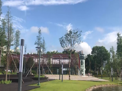新闻路上说说说｜福田中心地带还有这样一个世外桃源？