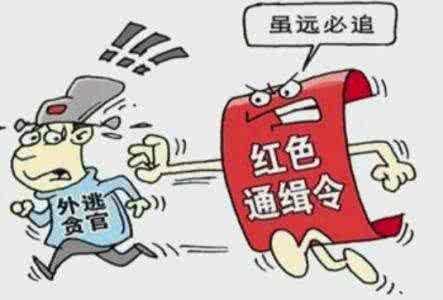 “百名红通人员”刘常凯回国投案 