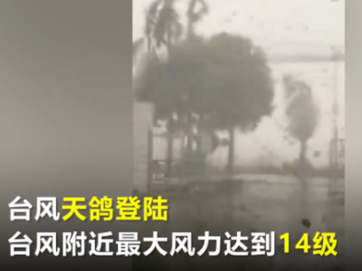 视频 | 台风来袭，中山男子徒手撑货车不幸被压遇难