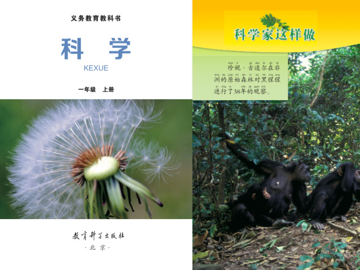 开学啦！今年深圳小一多了一门课，和语文数学一样重要！