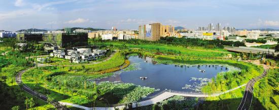 龙岗开足马力深入基层一线提升城区环境品质