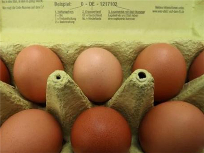 香港检出欧洲“毒鸡蛋” 官方：受污染鸡蛋全下架