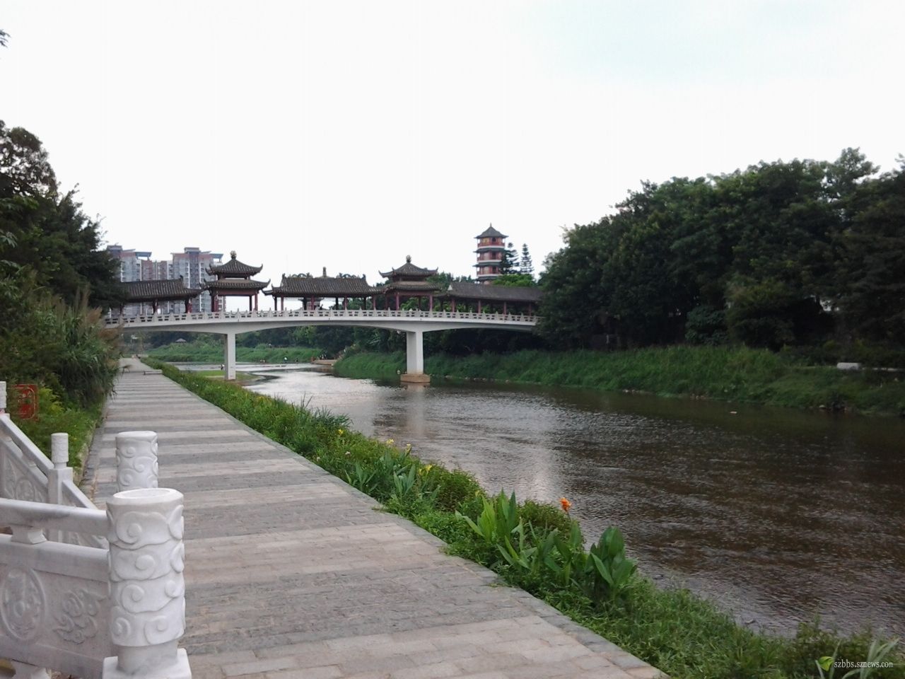 龙岗河的河长来调研：保质保量完成治水提质各项任务