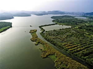 宝安石岩湖湿地公园明年底有望完工