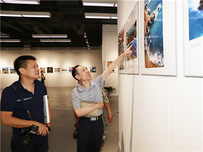 摄影发烧友看过来！李政摄影展在光明新区开幕啦